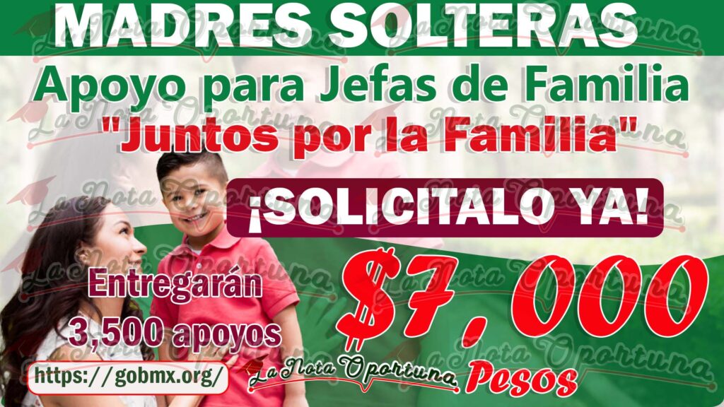 Apoyo Para Jefas De Familia Programa Juntos Por La Familia Obt N