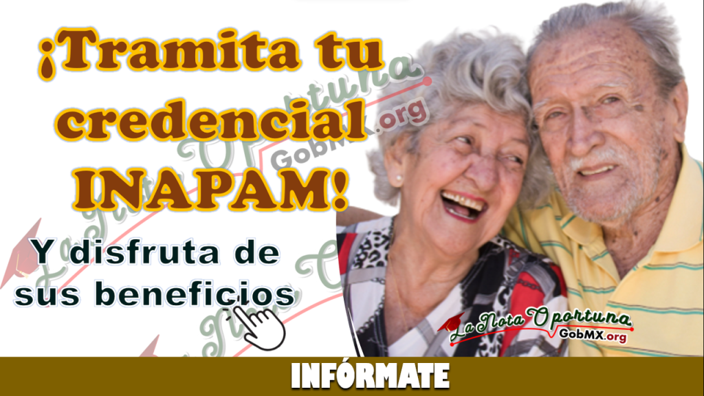 Puedo Tramitar Mi Credencial De Inapam En L Nea Gobmx Org