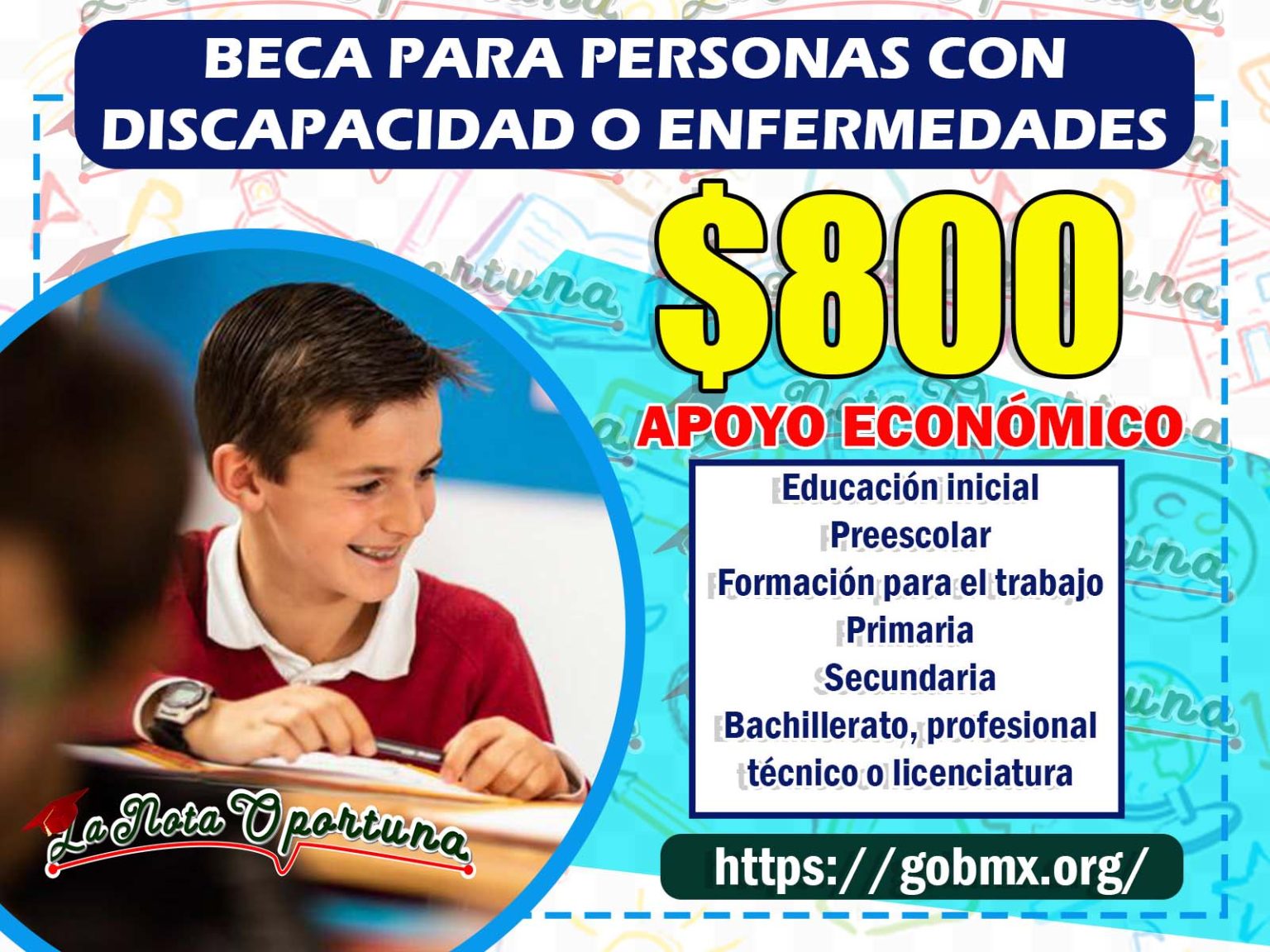 Reg Strate A Las Becas Por Discapacidad O Enfermedad Requisito