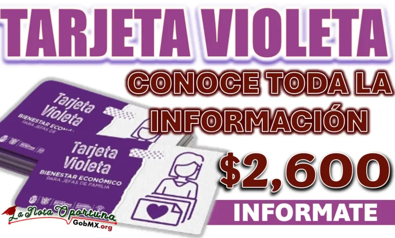 TARJETA VIOLETA| CONOCE EL MONTO DEL PROGRAMA Y LA FECHA DE REGISTRO