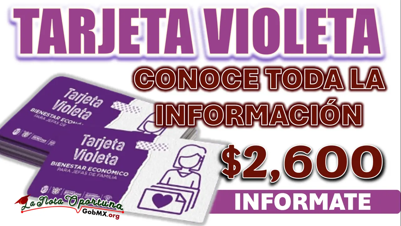 TARJETA VIOLETA| CONOCE EL MONTO DEL PROGRAMA Y LA FECHA DE REGISTRO