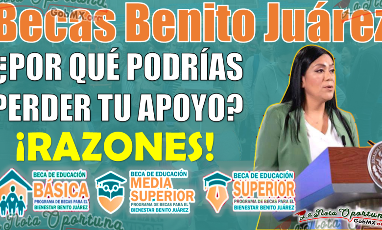 Atención estudiantes, ¡Motivos por los que podrías perder tu apoyo de las Becas Benito Juárez!, INFORMATE