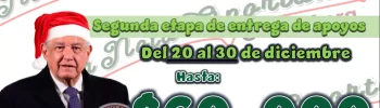 APOYO BIENESTAR ¿SERÁS TÚ UNO DE LOS QUE OBTENDRÁ HASTA 60 MIL PESOS?