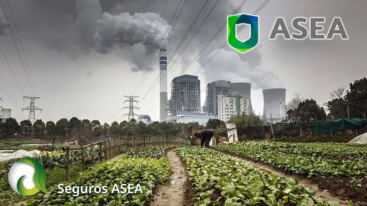 ¿Qué es ASEA en México?