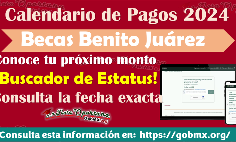 Calendario de pagos Becas Benito Juárez 2024 | Consulta cuándo y de cuánto será tu próximo PAGO a ser entregado 