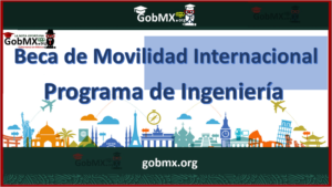 Beca de Movilidad Internacional Programa de Ingeniería