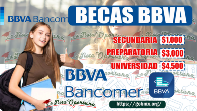 Beca BBVA: Estos son los requisitos, montos y documentos Â¡Recibe el apoyo econÃ³mico!