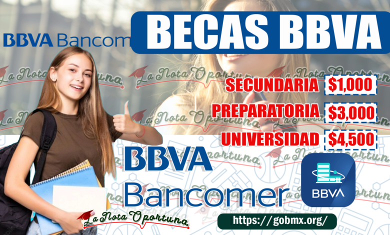 Beca BBVA: Estos son los requisitos, montos y documentos ¡Recibe el apoyo económico!