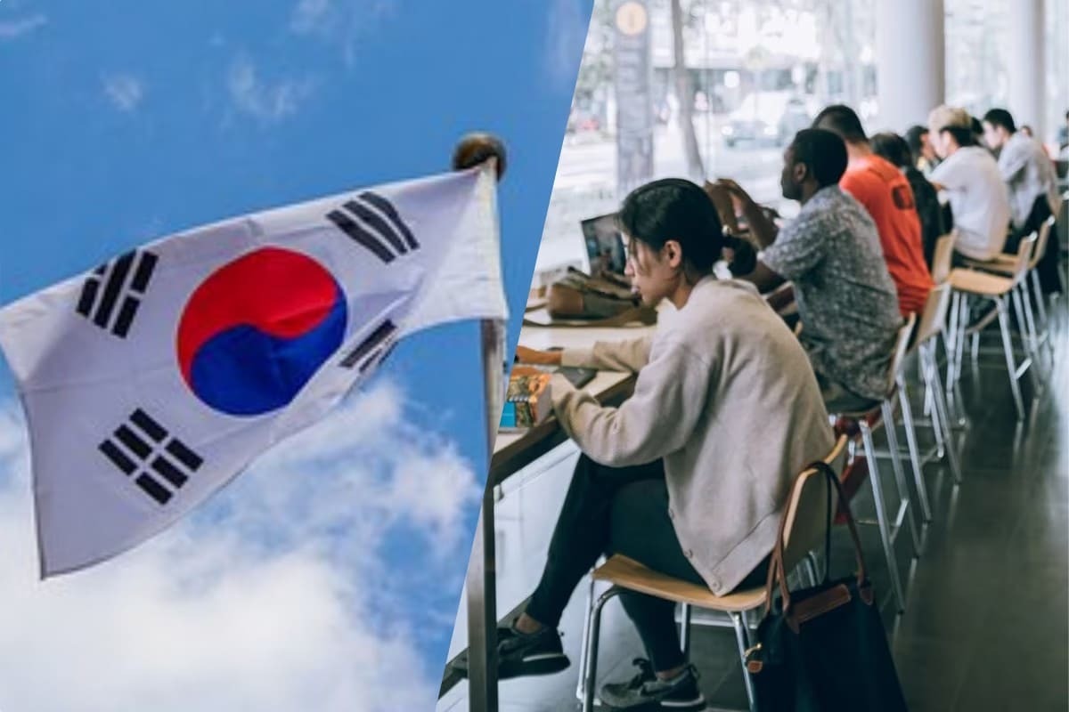 Becas corea del sur como funcionan