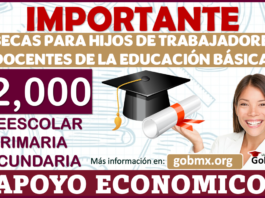 Â¡CONVOCATORIA DISPONIBLE! Apoyo a Hijos de Trabajadores Docentes EducaciÃ³n BÃ¡sica; Beca de 2 mil pesos