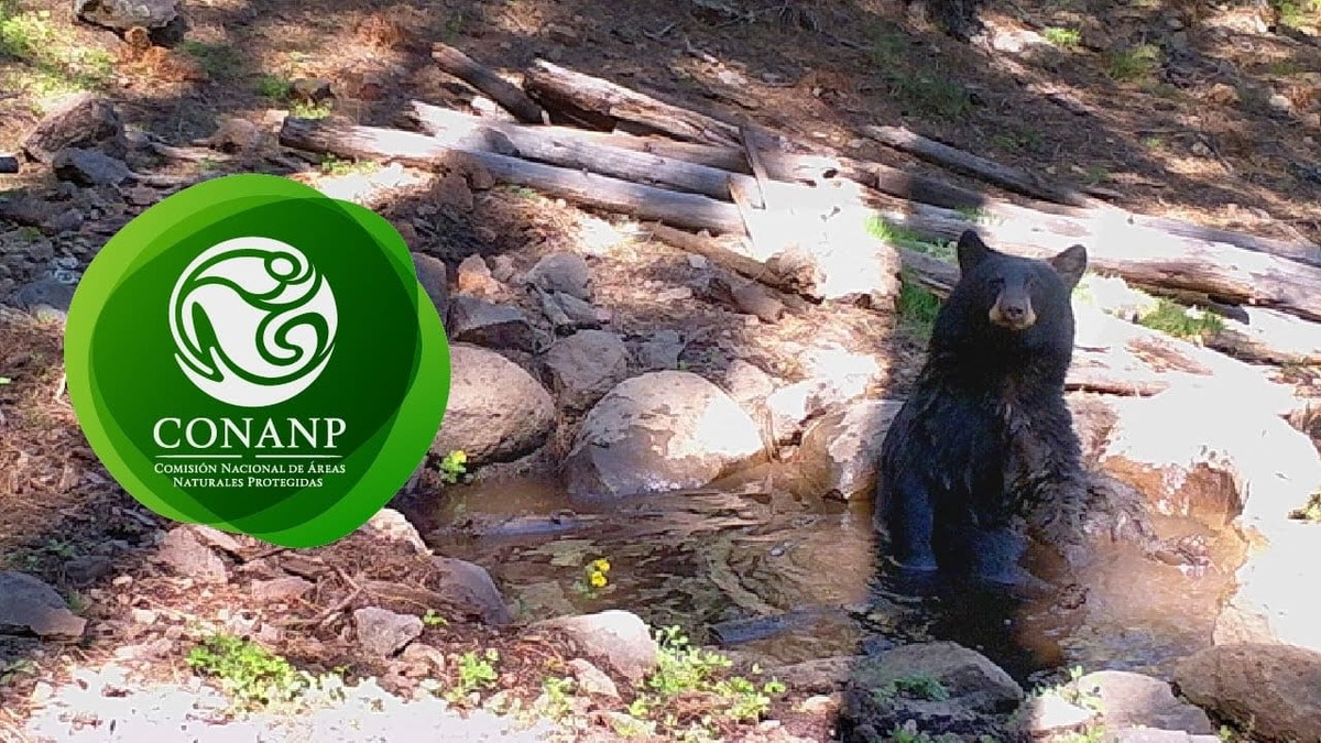 CONANP - Mantiene las Ã¡reas naturales protegidas en MÃ©xico 2023