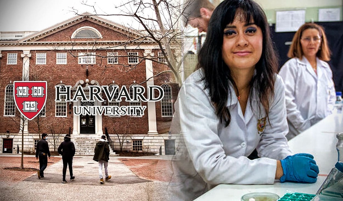 Conoce más sobre las Becas de Harvard