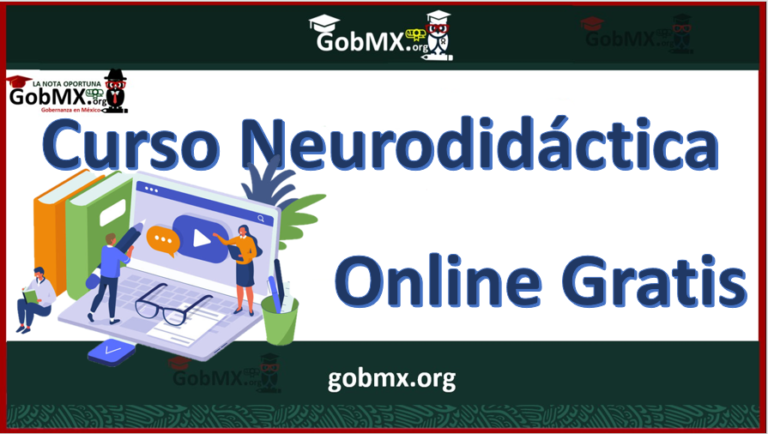 ▷ Curso de Neurodidáctica Online Gratis » 2021 GobMX.org 🥇 Curso de Neurodidáctica Online Gratis