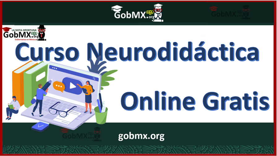 Curso de Neurodidáctica Online Gratis
