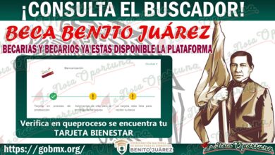 Becas Benito Juárez ¡Consulta el Buscador de Estatus! y Conoce la situación en la que se encuentra tu Tarjeta Bienestar
