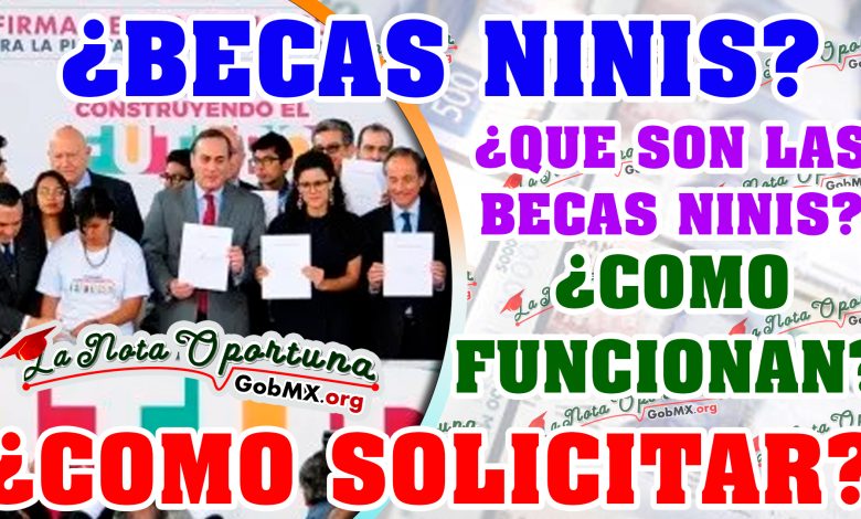 Sabías de las becas Ninis