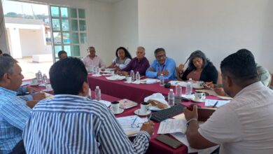 FIFONAFE - Aprende todo sobre ellos 2023