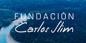 Fundacion Carlos Slim Logo