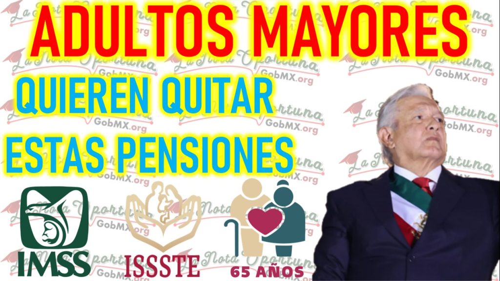 Alerta: Propuestas de privatización en la Seguridad Social pone en riesgo a los queridos beneficiarios adultos mayores de 65 años