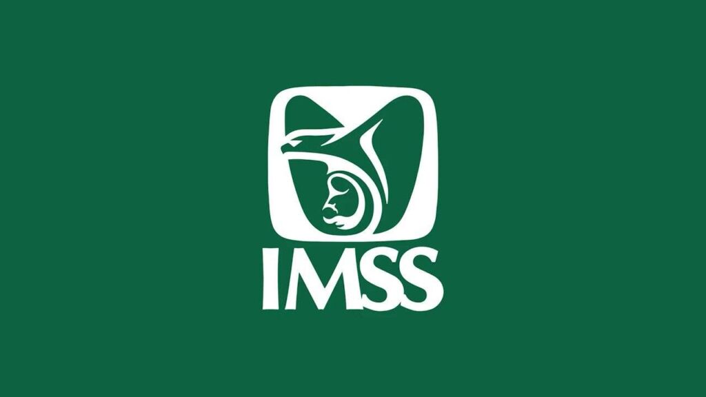Convocatoria IMSS