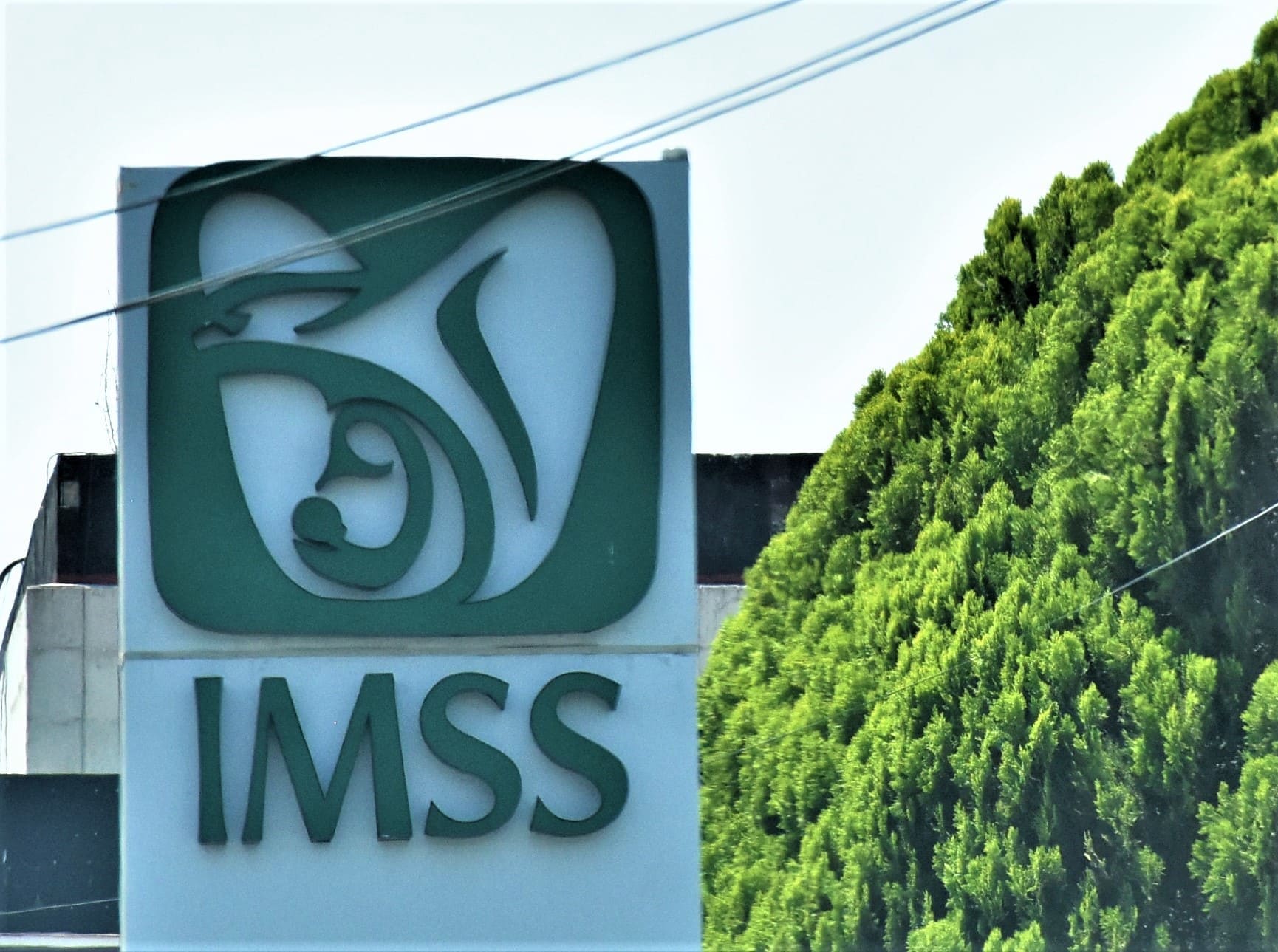 Vigencia del IMSS ¿Sabes qué es y cómo consultarla?