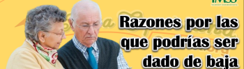 Pensión IMSS: Razones por las que podrías ser dado de baja