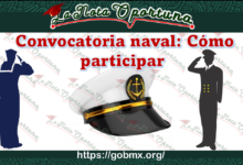 Convocatoria naval: Cómo participar