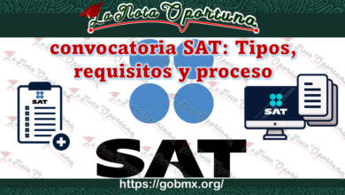 Convocatoria SAT: Tipos, requisitos y proceso