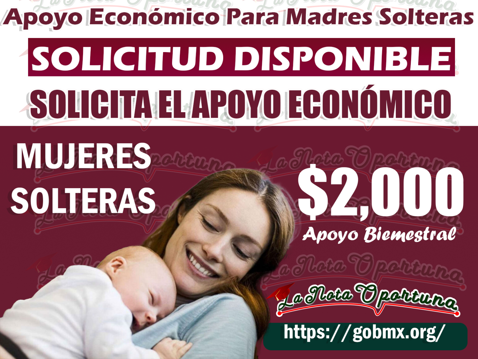 Importante Mujeres Solteras ¡Solicita el apoyo económica de 2000 mil ...