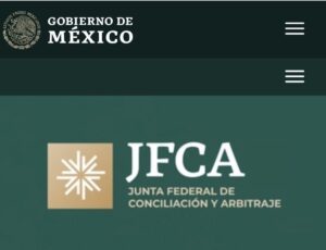 JFCA - ¿Quiénes son y por qué son importantes?