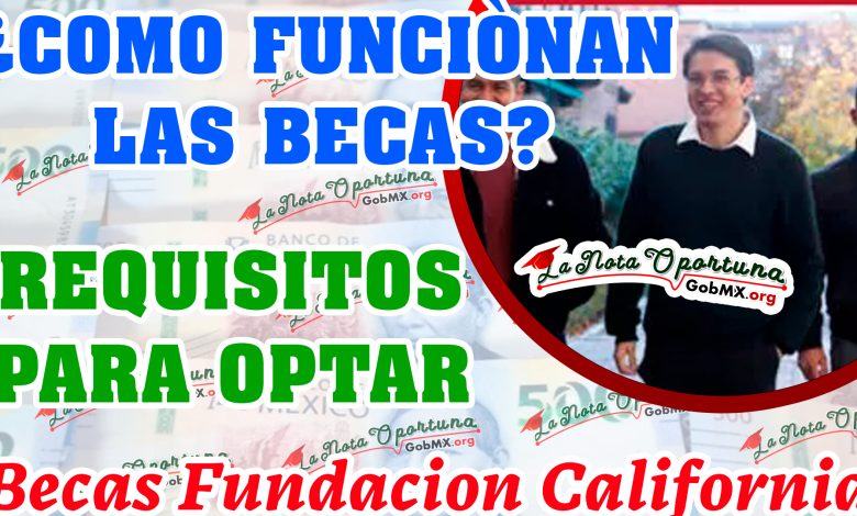 Becas Fundación Carolina Mexico