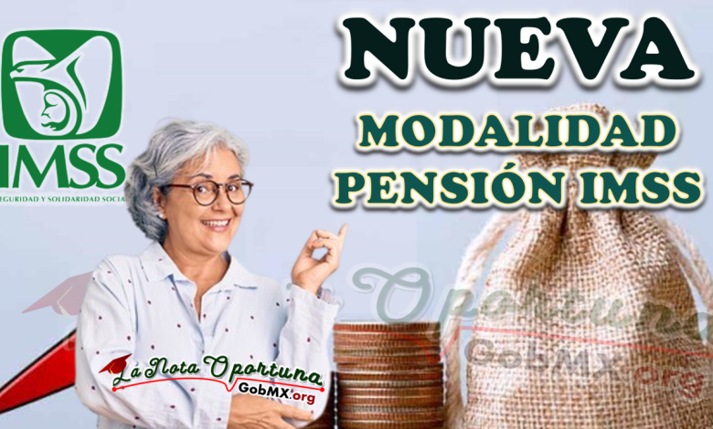 Nueva modalidad pensión IMSS