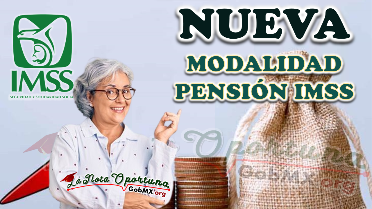 Nueva modalidad pensión IMSS