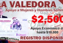 ¡Atención Madres y Padres Trabajadoras! Solicita el Apoyo Económico de 2 mil 500 pesos y Obtén la Tarjeta Valedora