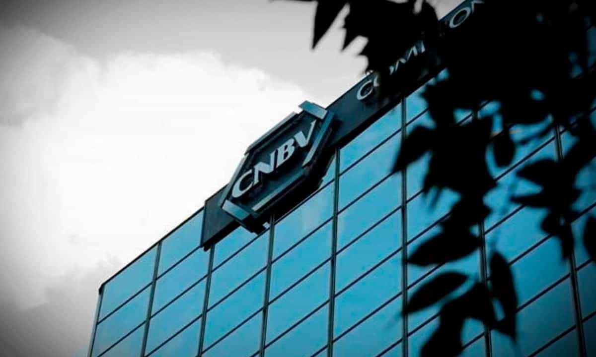 CNBV – quienes son y susu funciones