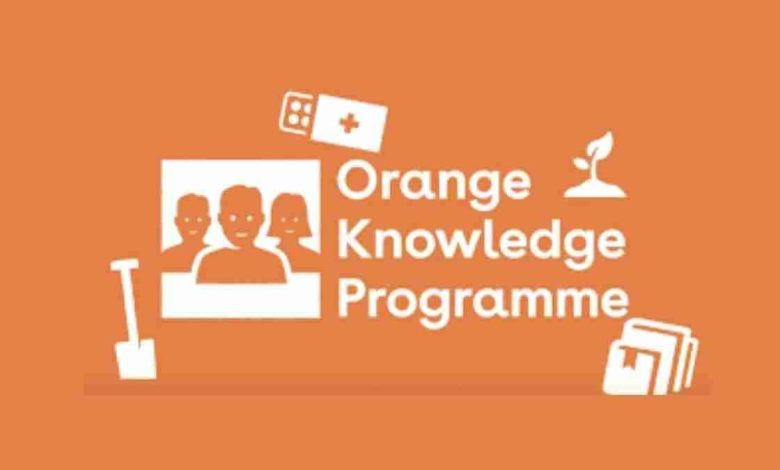Orange Knowledge - Las mejores Becas para ti