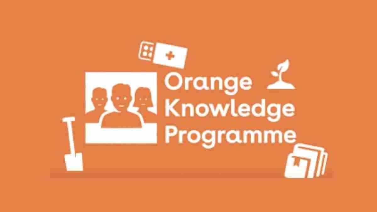 Orange Knowledge - Las mejores Becas para ti