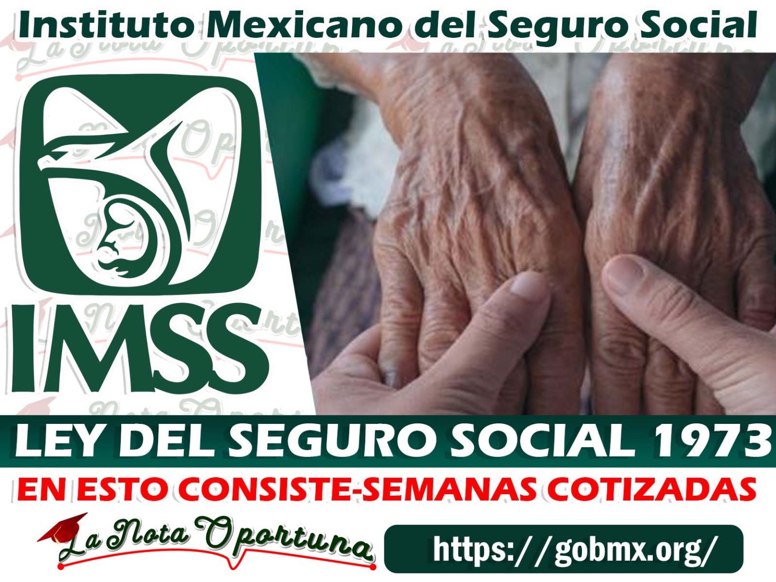 Pensión IMSS; Régimen Ley 97 ¡Estas Son Las Semanas Cotizadas Que ...