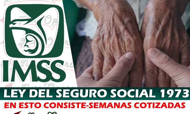 Pensión IMSS; Régimen Ley 97 ¡Estas son las semanas cotizadas que necesitas!