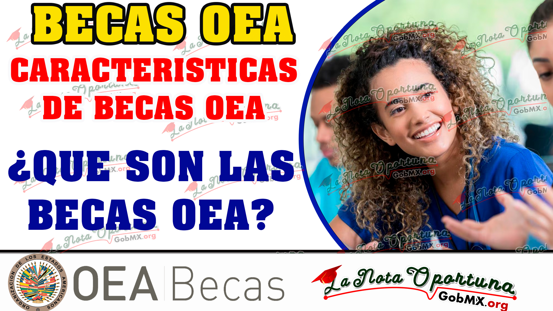 Las mejores Becas OEA este 2023