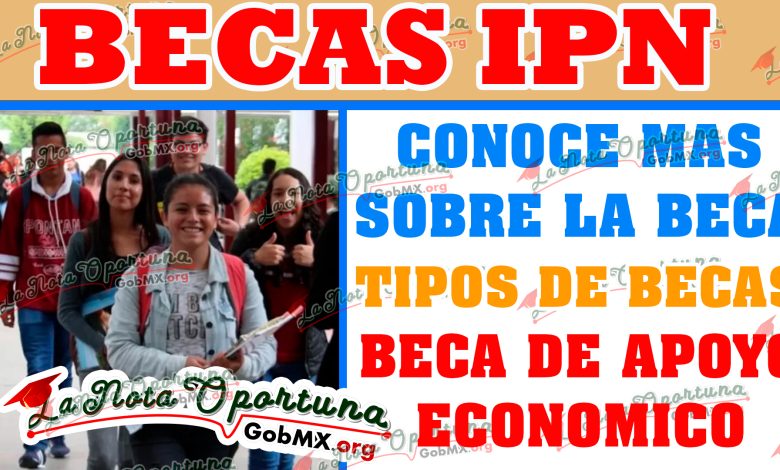 Conoces las Becas IPN