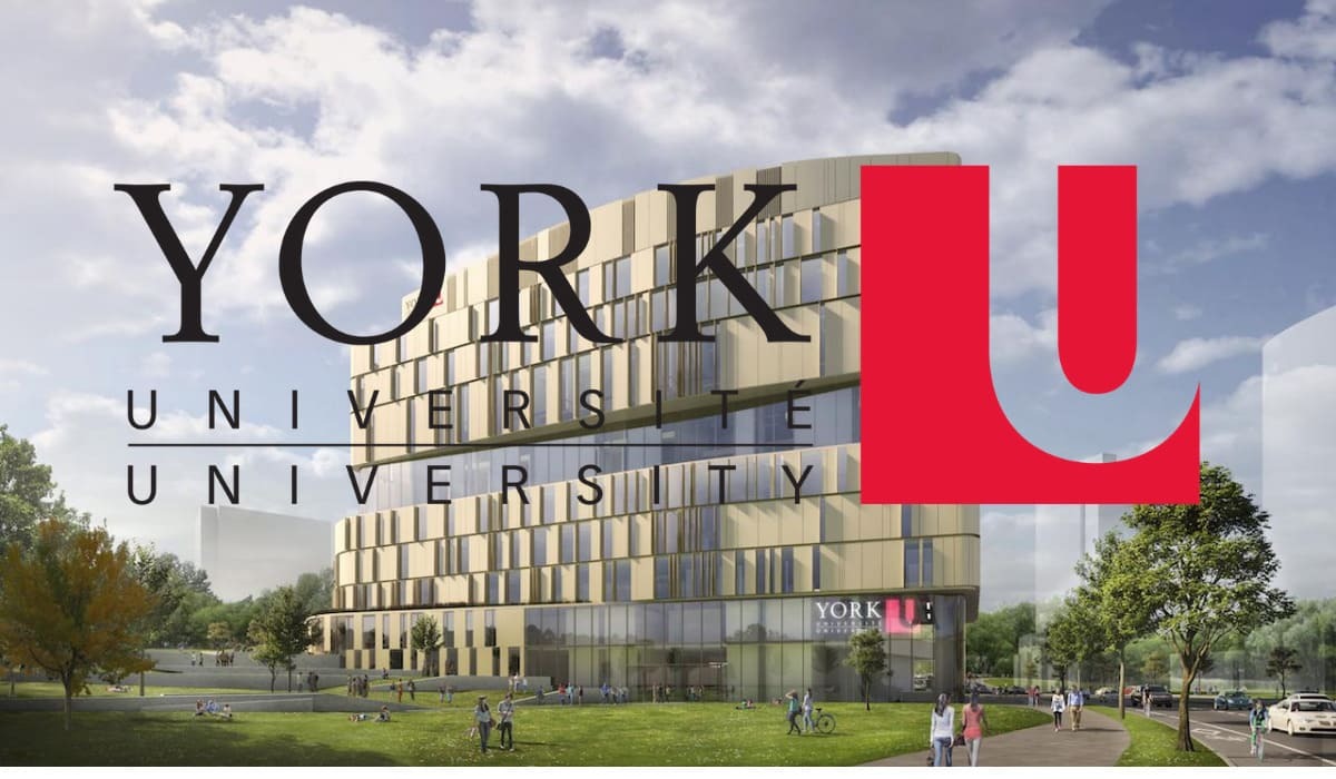 York University International - Becas para ti
