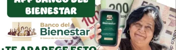 ¿TE APARECE "ERROR" EN LA APP DEL BANCO BIENESTAR?, ASÍ LO PUEDES SOLUCIONAR 