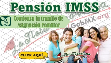 Todo lo que Debes Saber sobre la Asignación Familiar en la Pensión del IMSS