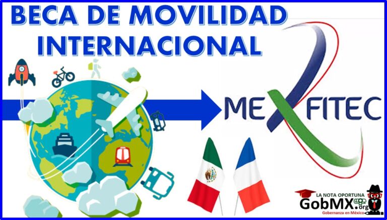 ▷ Beca de Movilidad Internacional – Mexfitec 2021-2022 » 2021 GobMX.org 🥇 Beca de Movilidad Internacional – Mexfitec 2021