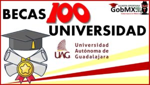 Becas 100 Universidad
