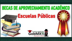 Becas De Aprovechamiento Académico Para Escuelas Públicas【2022-2023】🥇 ...