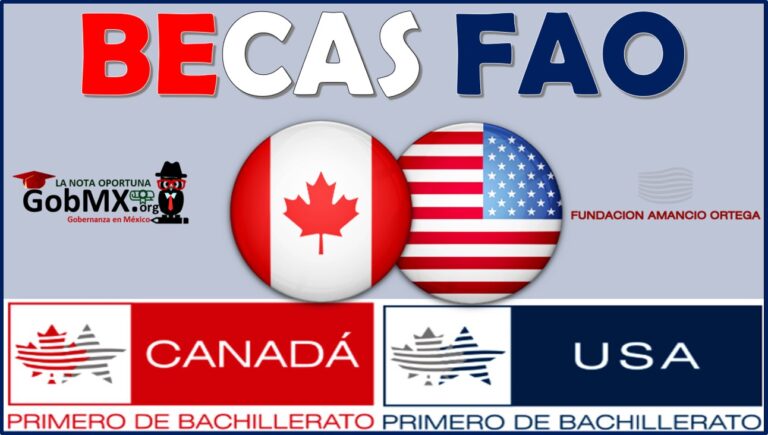 ▷ Becas FAO 2021-2022 » 2021 GobMX.org 🥇 Becas Fao