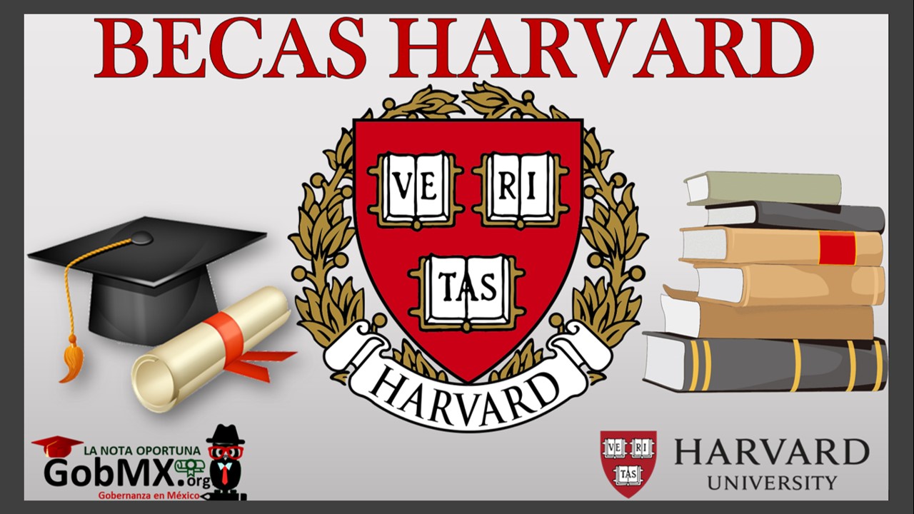 Becas Harvard