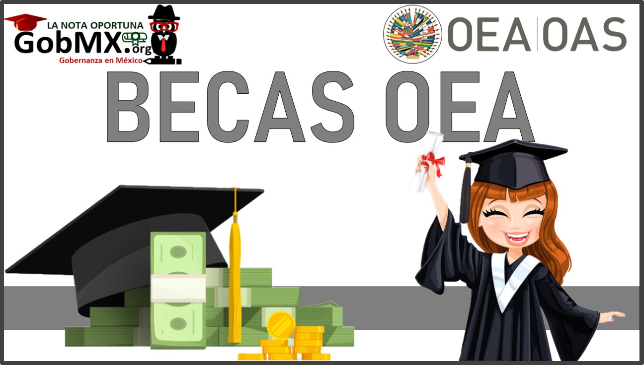 Becas OEA en México